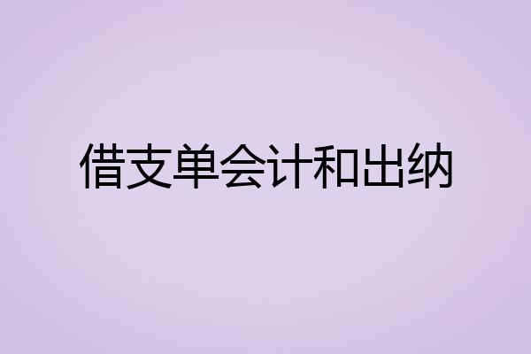 借支单会计和出纳
