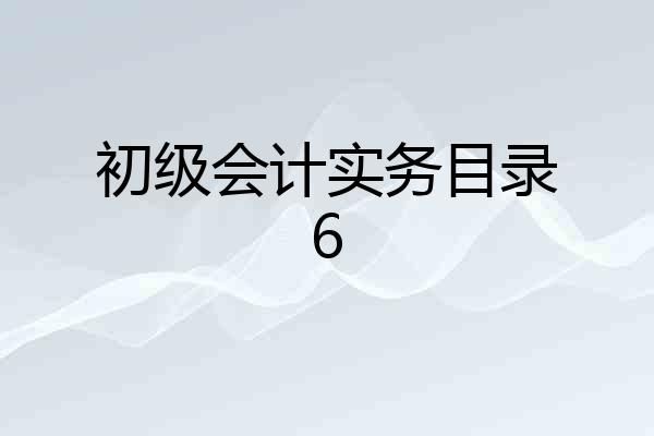 初级会计实务目录6