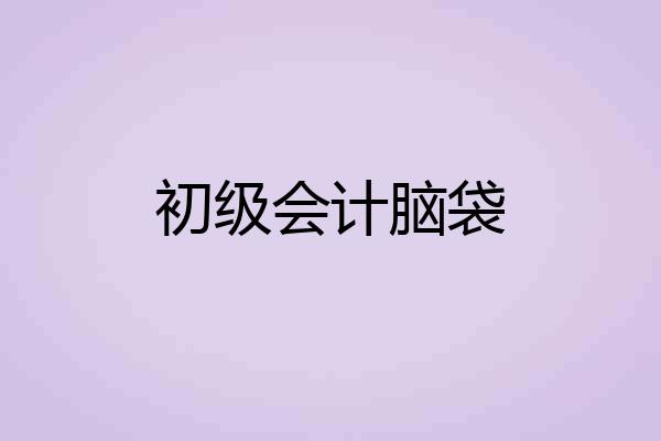 初级会计脑袋