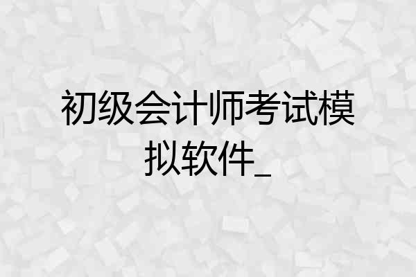 初级会计师考试模拟软件_