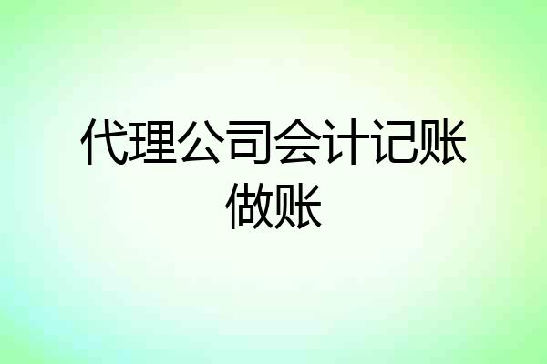代理公司会计记账做账