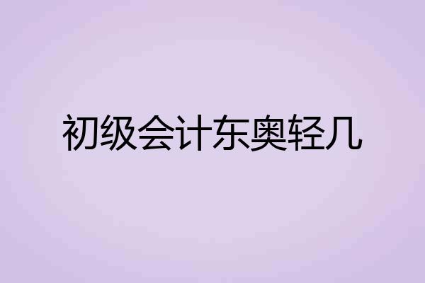 初级会计东奥轻几