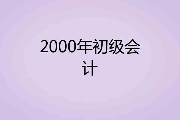 2000年初级会计