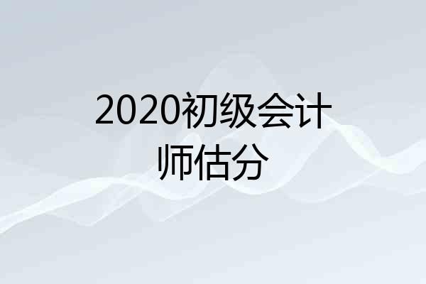 2020初级会计师估分