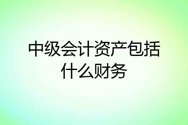 中级会计资产包括什么财务