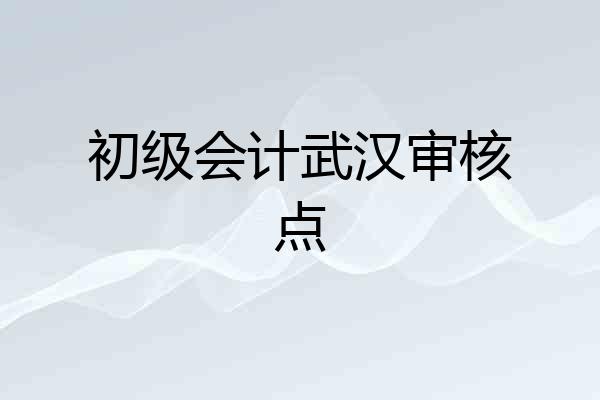 初级会计武汉审核点