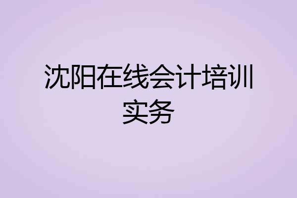 沈阳在线会计培训实务