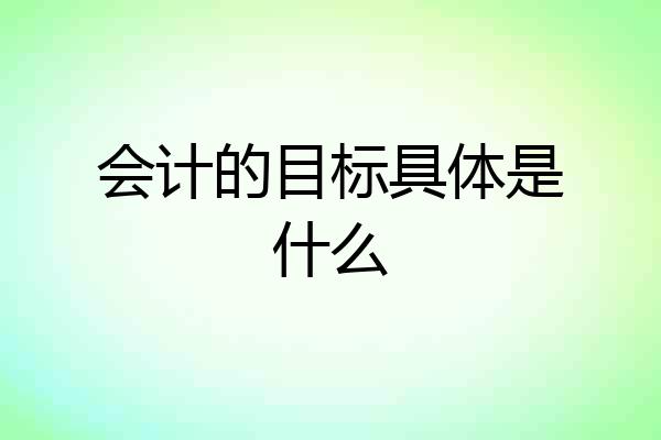 会计的目标具体是什么