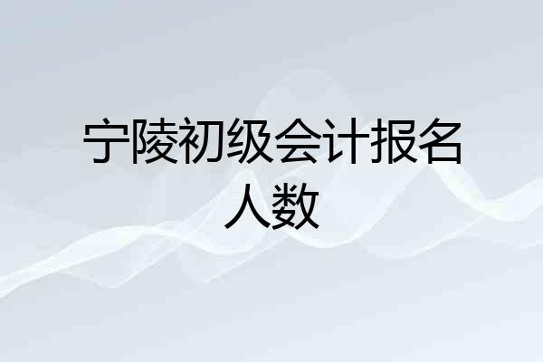 宁陵初级会计报名人数