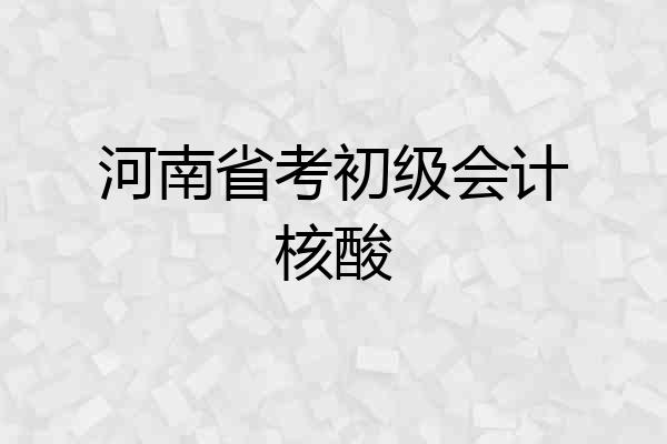河南省考初级会计核酸