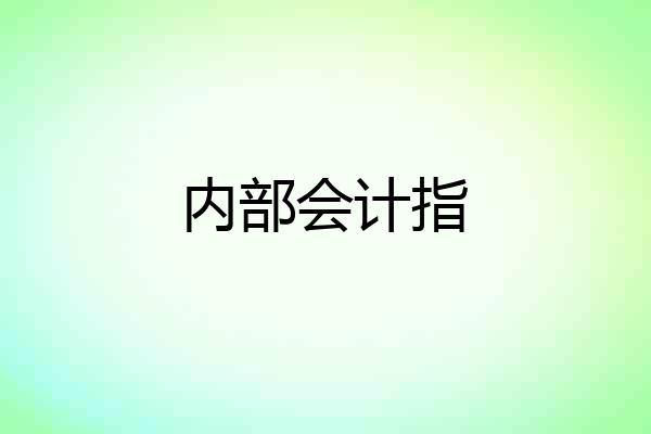 内部会计指