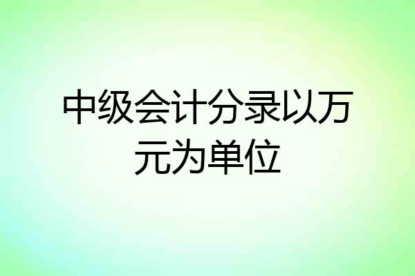 中级会计分录以万元为单位