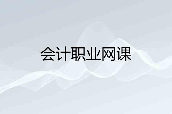会计职业网课