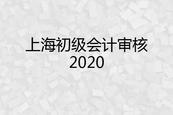 上海初级会计审核2020