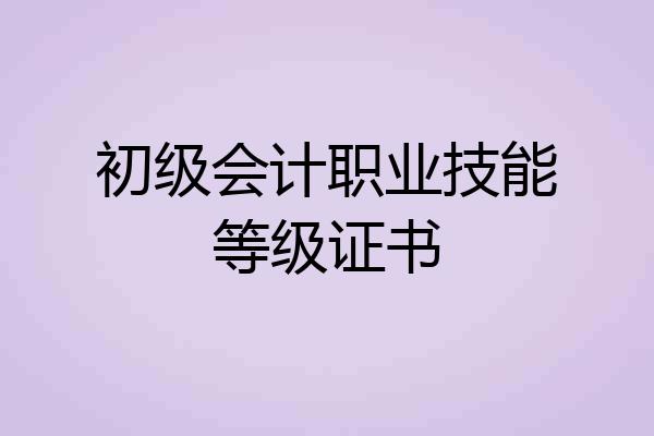 初级会计职业技能等级证书