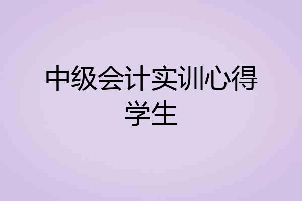 中级会计实训心得学生