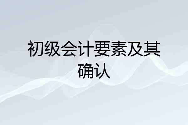 初级会计要素及其确认