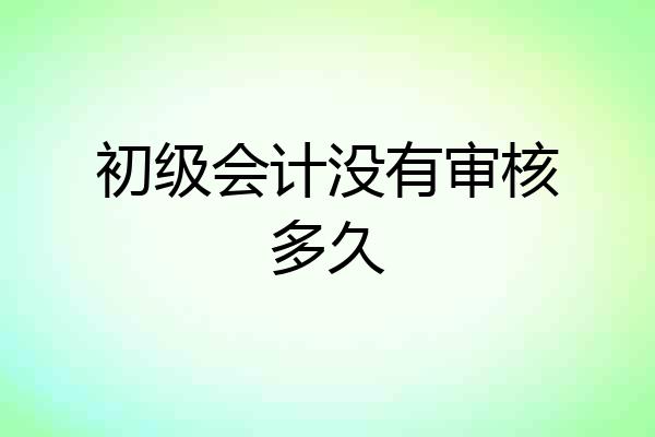 初级会计没有审核多久