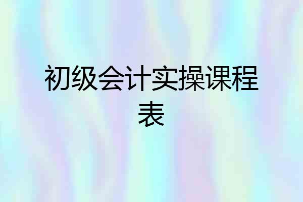 初级会计实操课程表