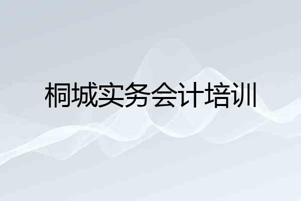桐城实务会计培训
