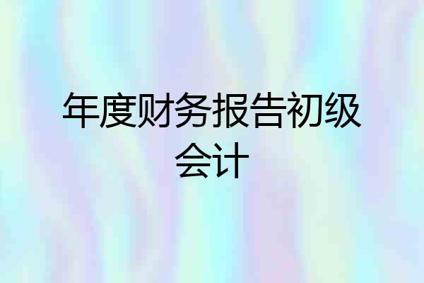 年度财务报告初级会计