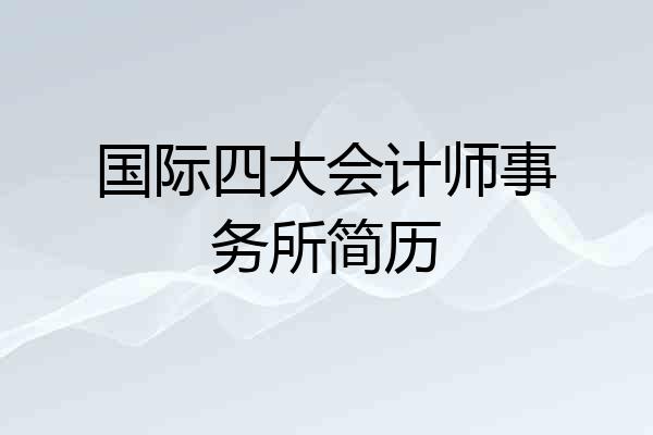 国际四大会计师事务所简历