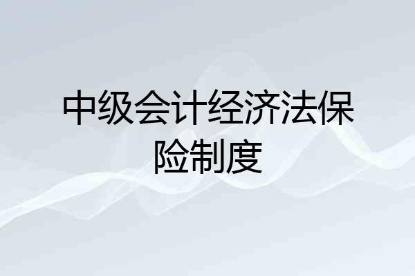 中级会计经济法保险制度