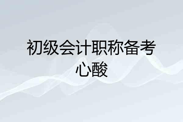 初级会计职称备考心酸