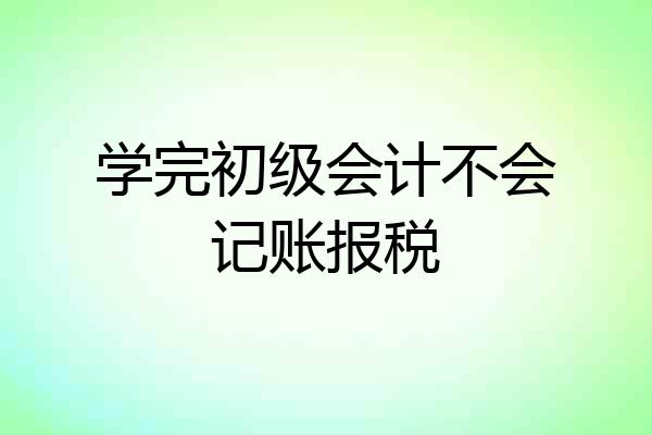学完初级会计不会记账报税
