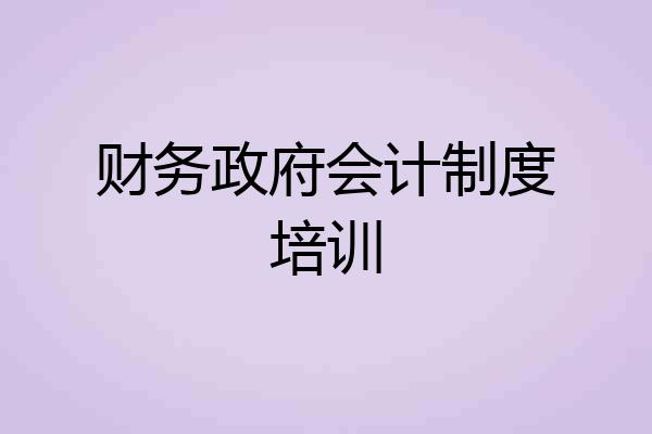 财务政府会计制度培训