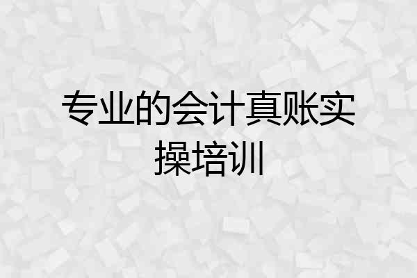 专业的会计真账实操培训