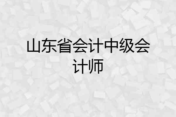 山东省会计中级会计师