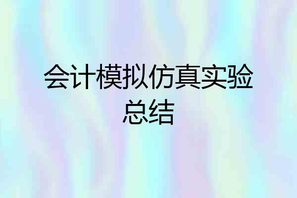 会计模拟仿真实验总结