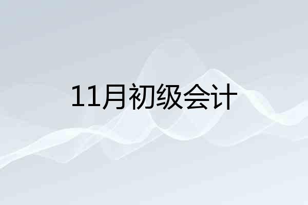 11月初级会计