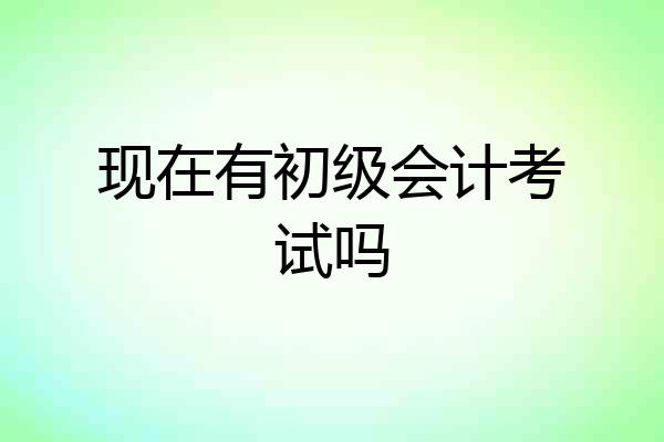 现在有初级会计考试吗