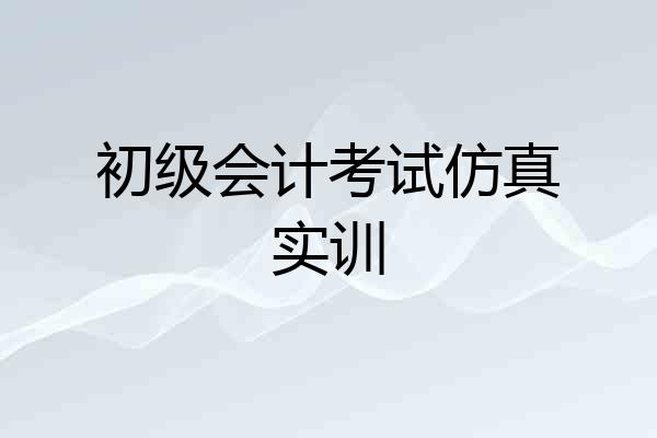 初级会计考试仿真实训