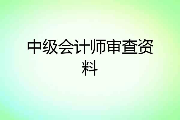 中级会计师审查资料