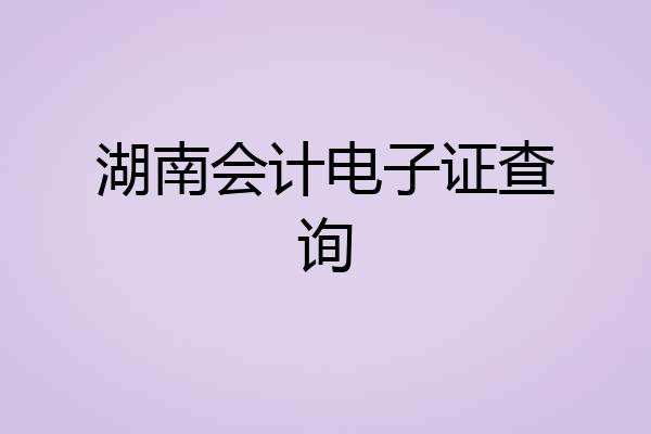 湖南会计电子证查询