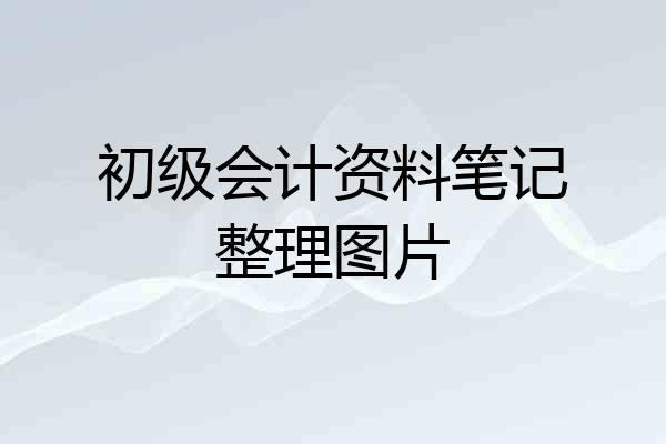 初级会计资料笔记整理图片