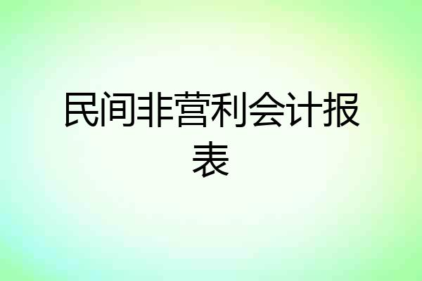 民间非营利会计报表
