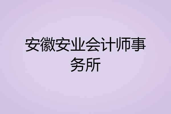 安徽安业会计师事务所