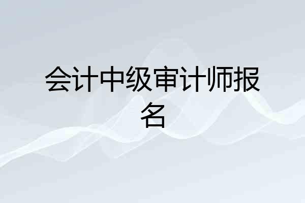 会计中级审计师报名