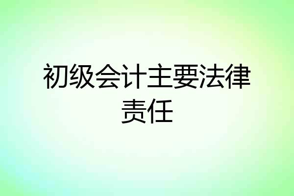 初级会计主要法律责任