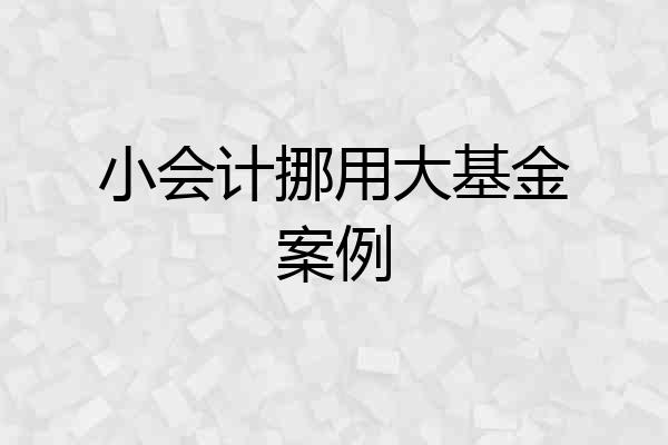小会计挪用大基金案例