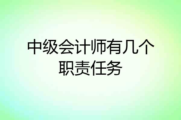 中级会计师有几个职责任务