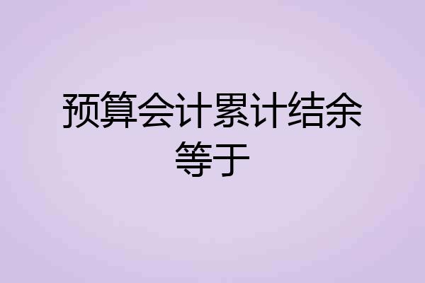 预算会计累计结余等于