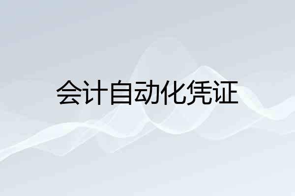 会计自动化凭证