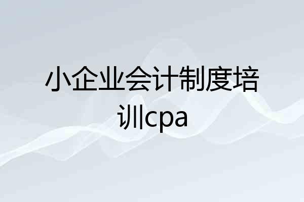 小企业会计制度培训cpa