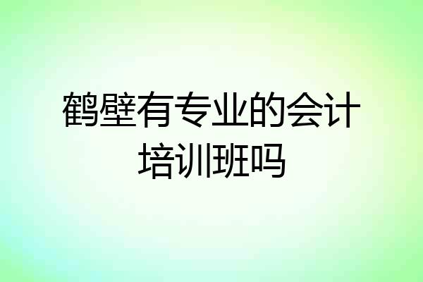 鹤壁有专业的会计培训班吗
