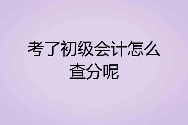 考了初级会计怎么查分呢